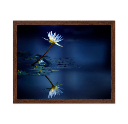 Blue Lotus Reflection