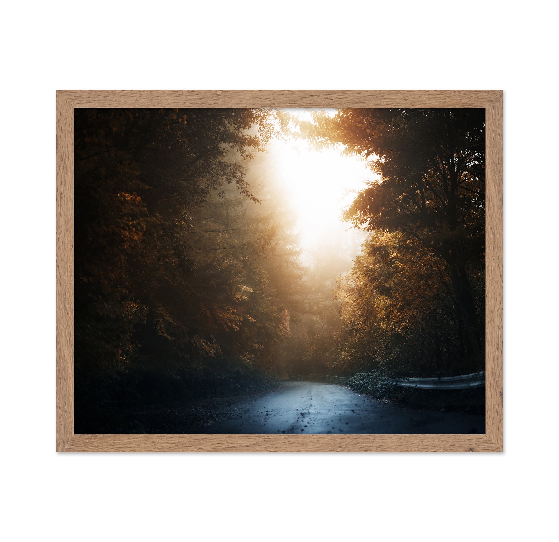 Forest Road Light