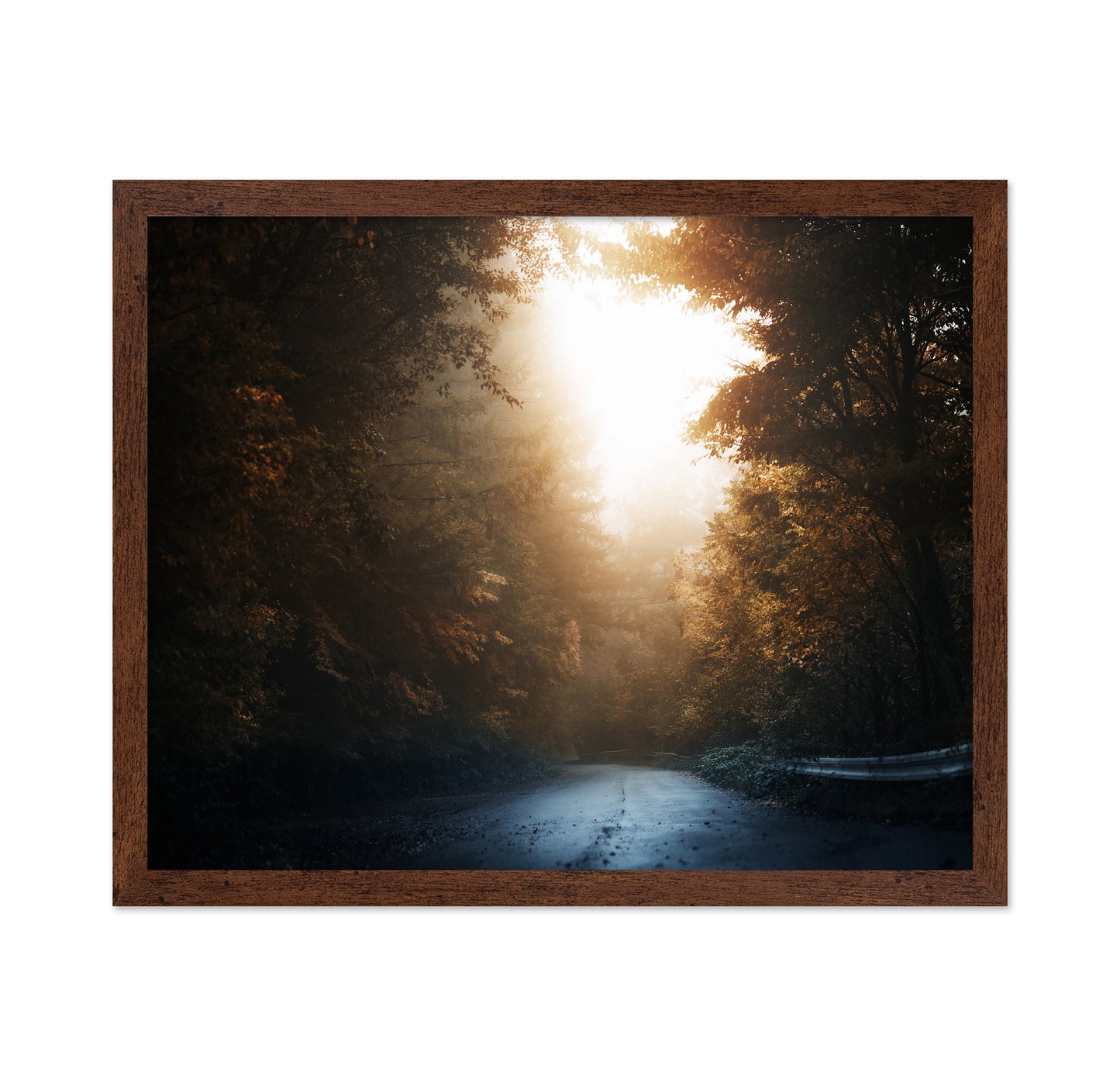 Forest Road Light