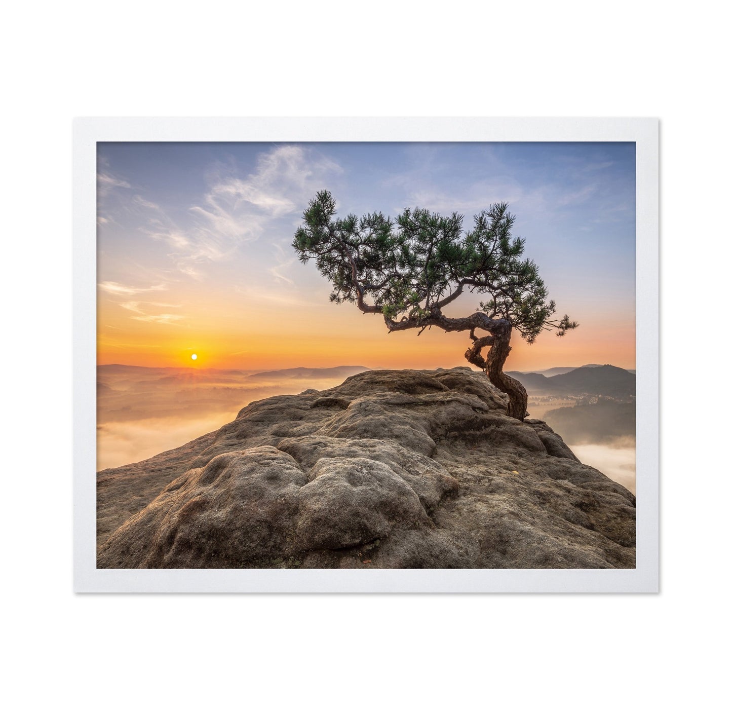 Golden Tree Sunrise