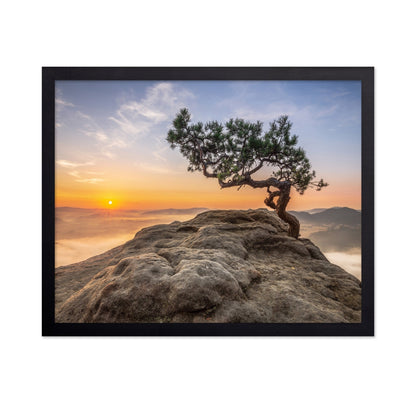 Golden Tree Sunrise