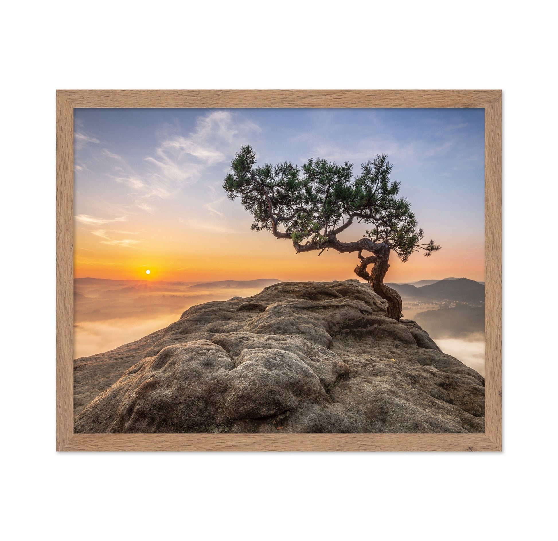 Golden Tree Sunrise