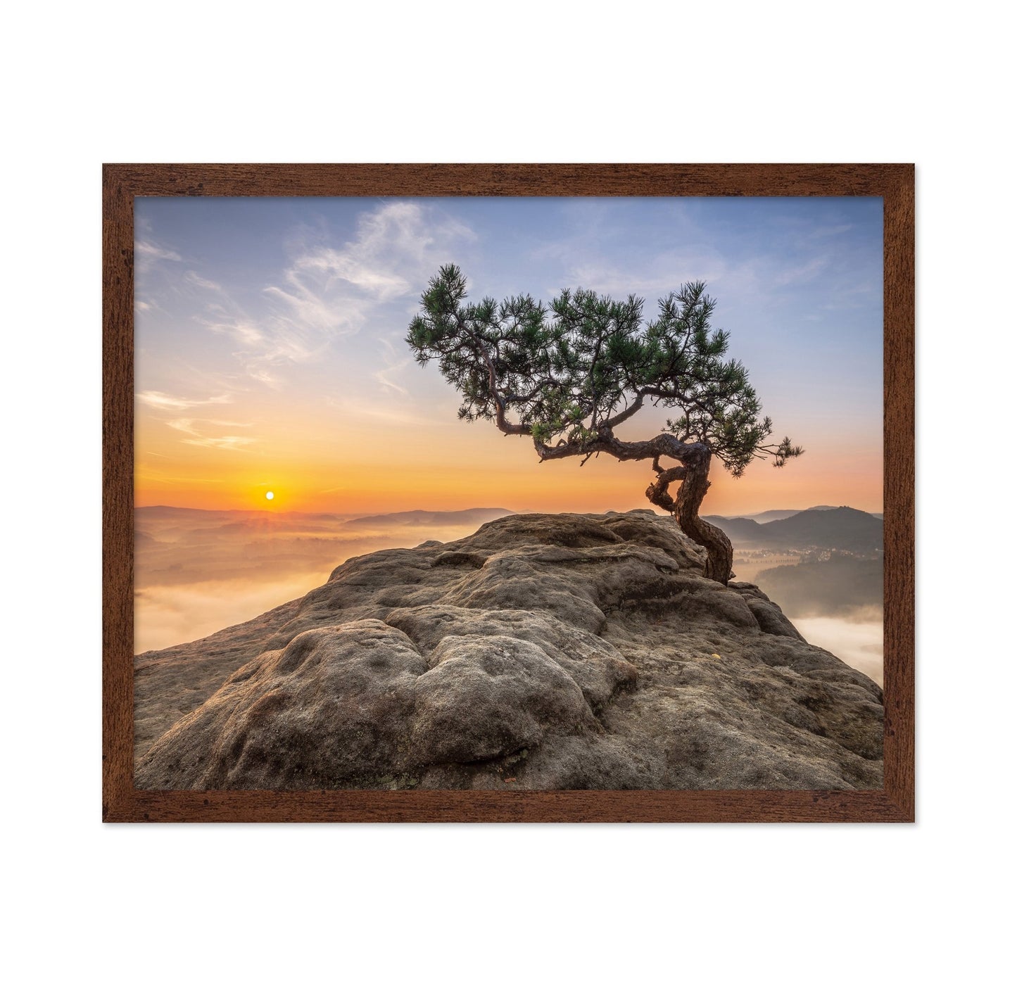 Golden Tree Sunrise