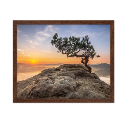 Golden Tree Sunrise