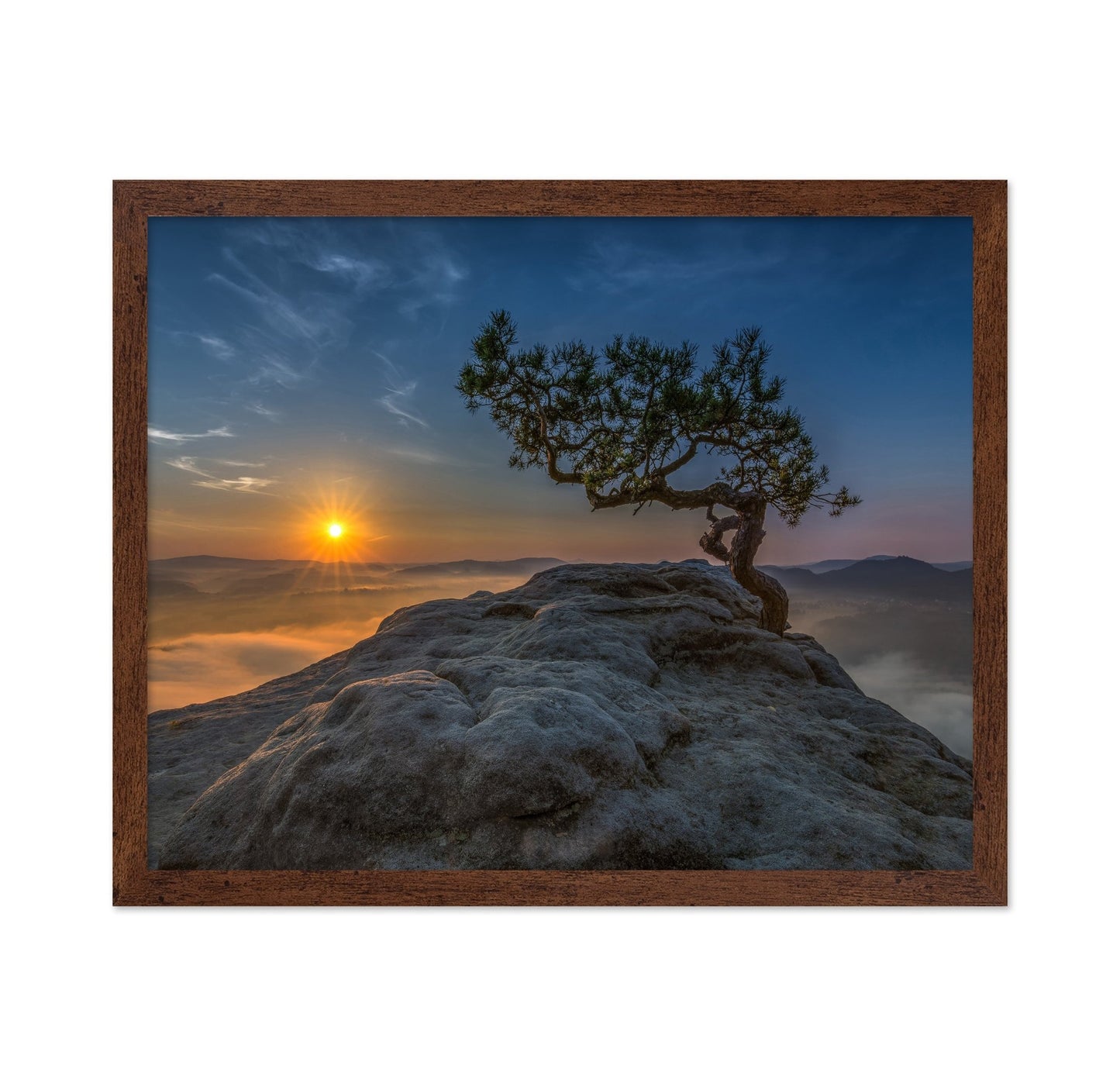 Lone Tree Sunrise