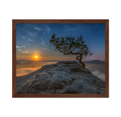 Lone Tree Sunrise