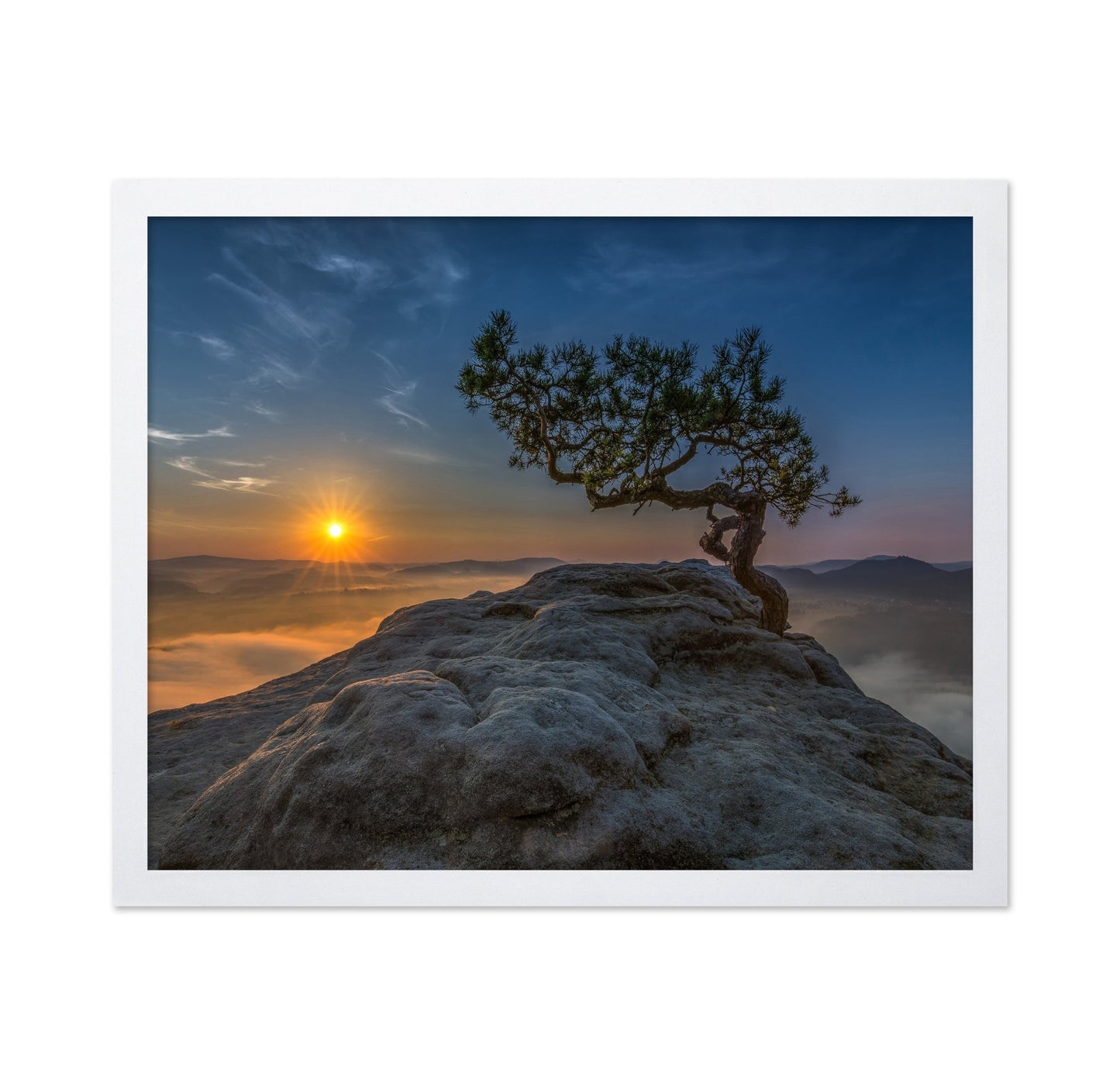 Lone Tree Sunrise