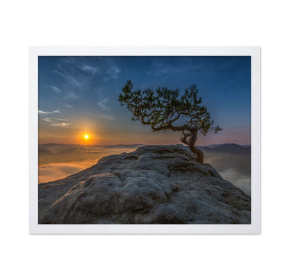 Lone Tree Sunrise