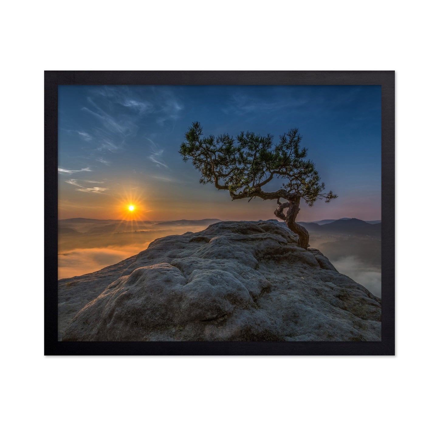 Lone Tree Sunrise