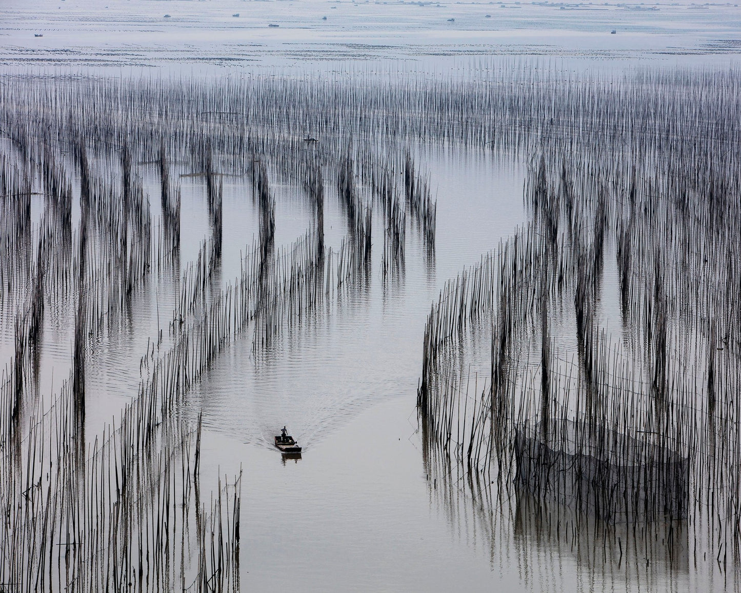 Fishing Lines Bay