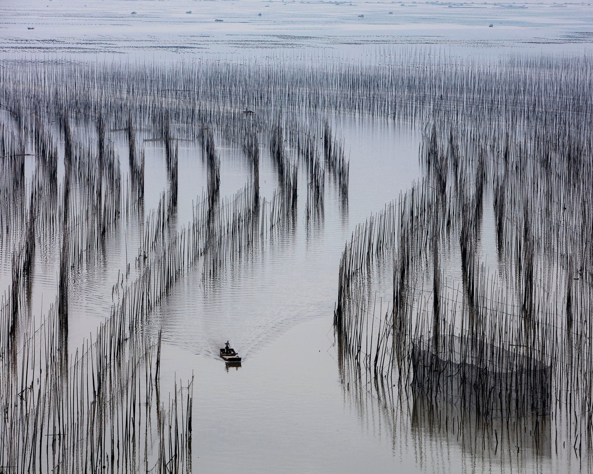 Fishing Lines Bay