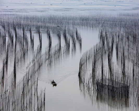 Fishing Lines Bay