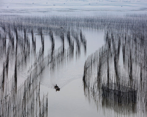 Fishing Lines Bay