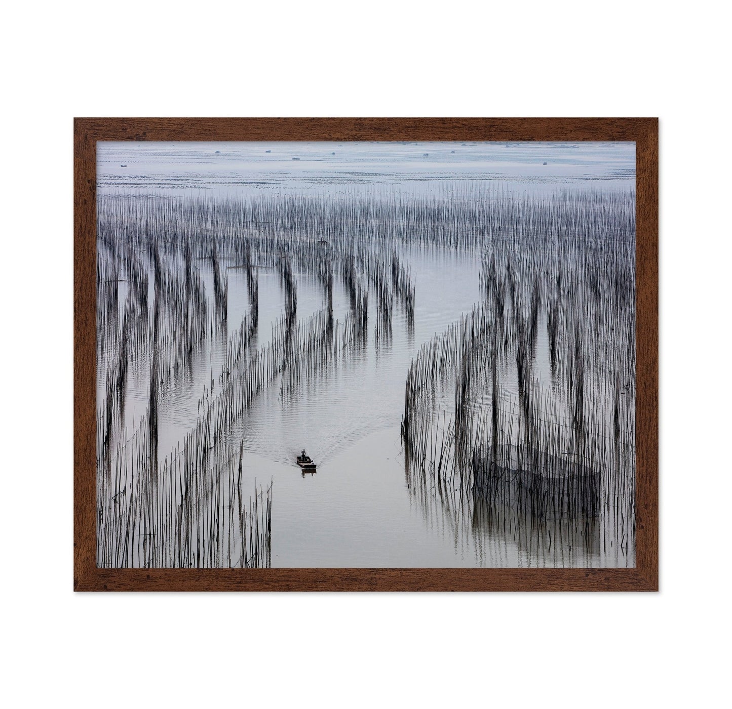 Fishing Lines Bay