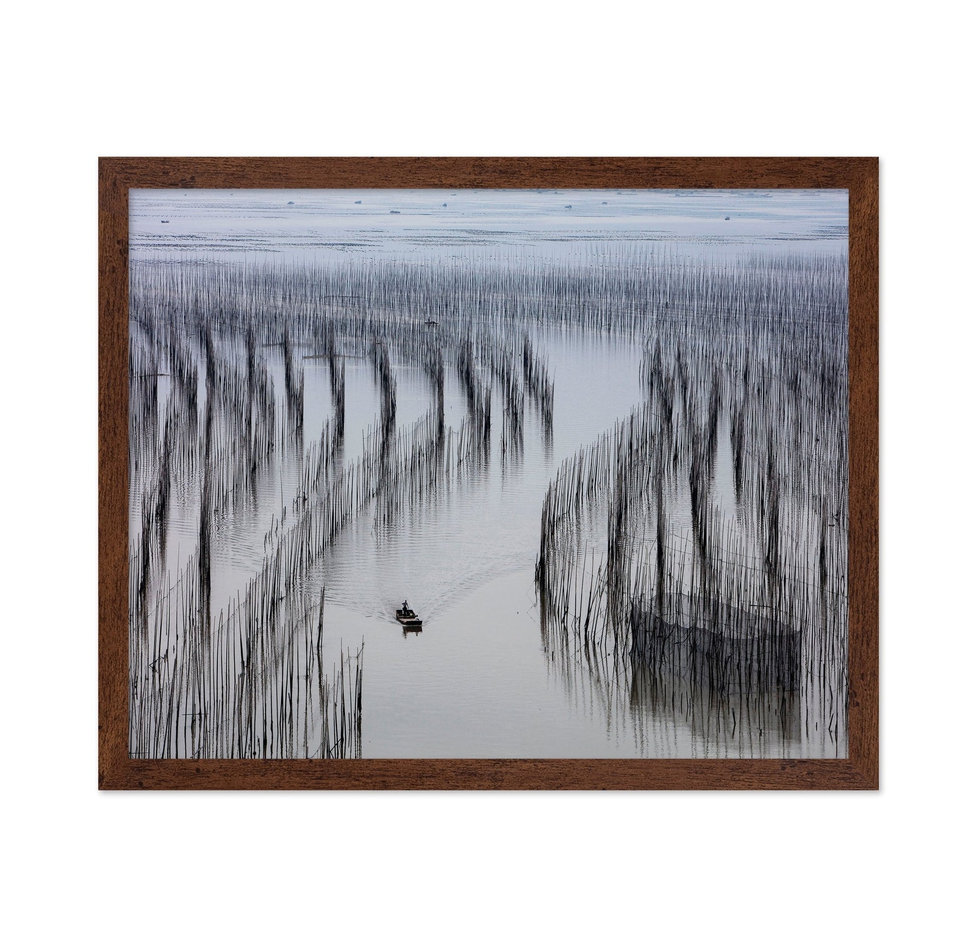 Fishing Lines Bay