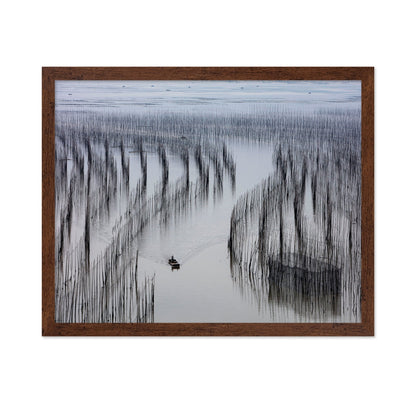 Fishing Lines Bay