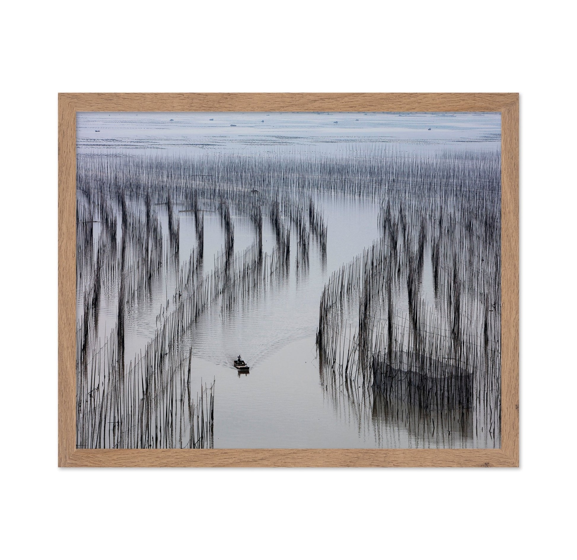 Fishing Lines Bay