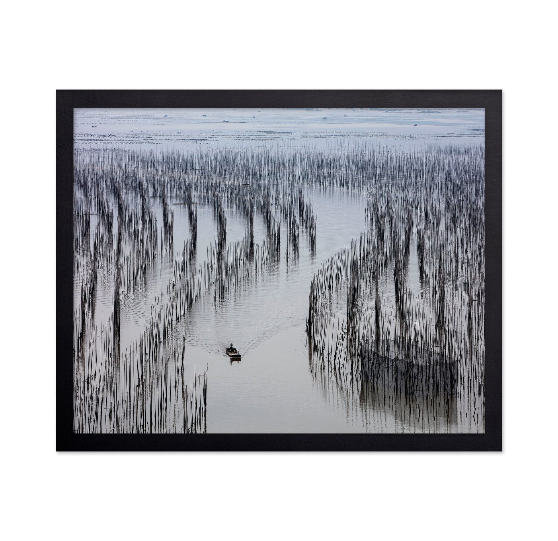 Fishing Lines Bay