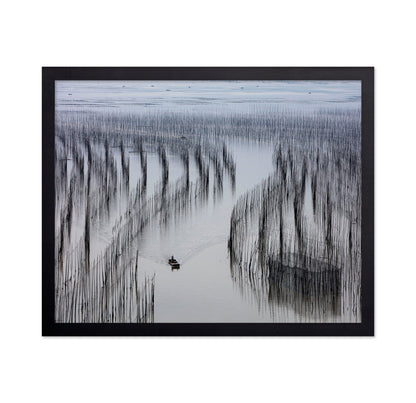 Fishing Lines Bay