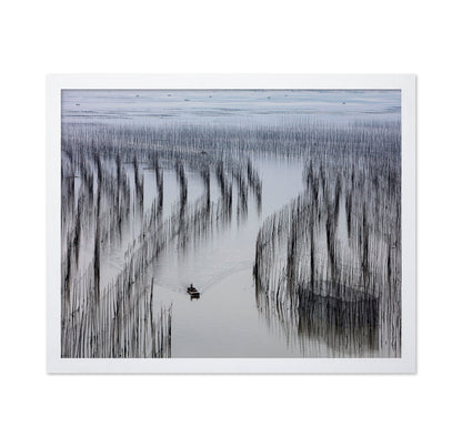 Fishing Lines Bay