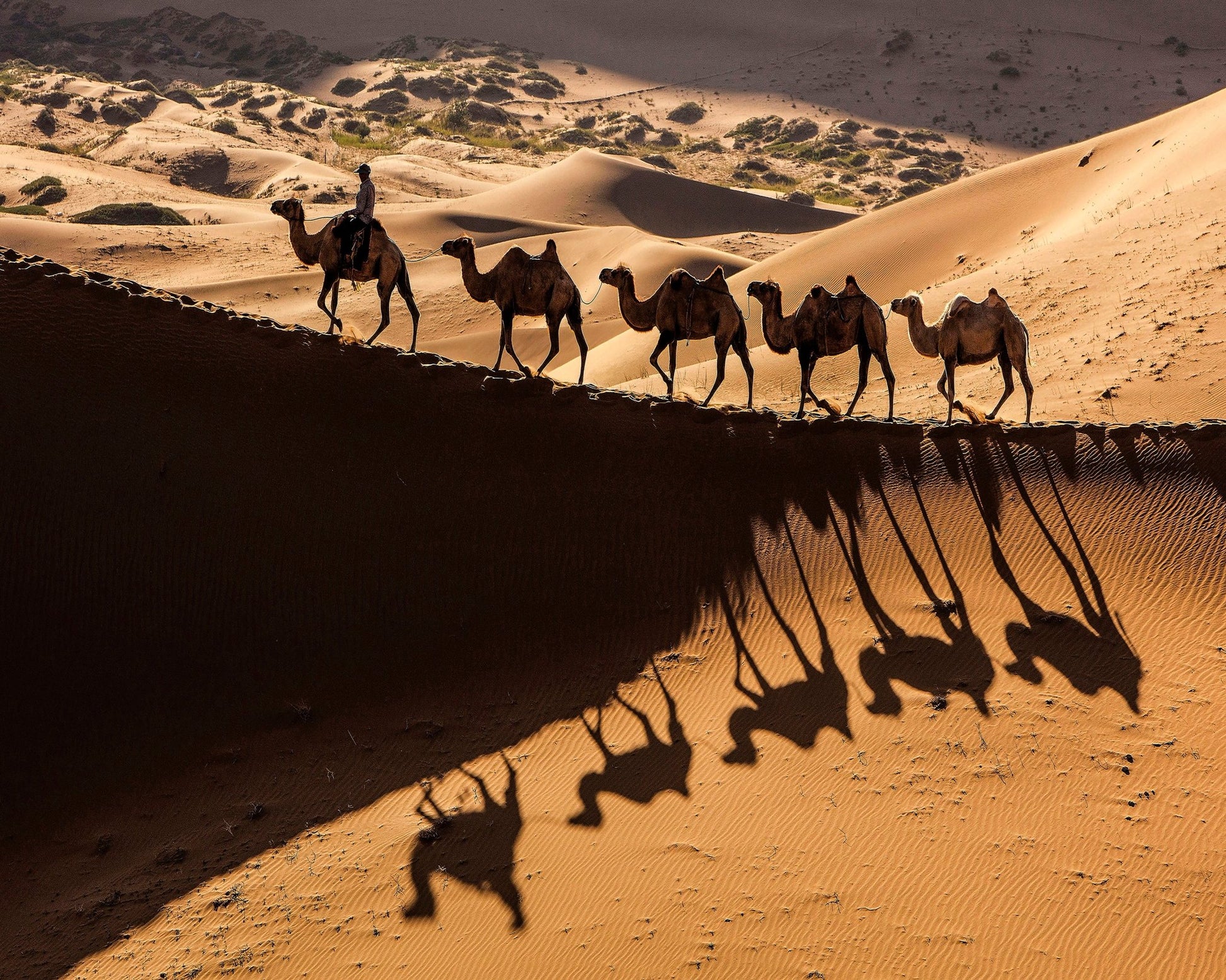 Desert Caravan Shadows
