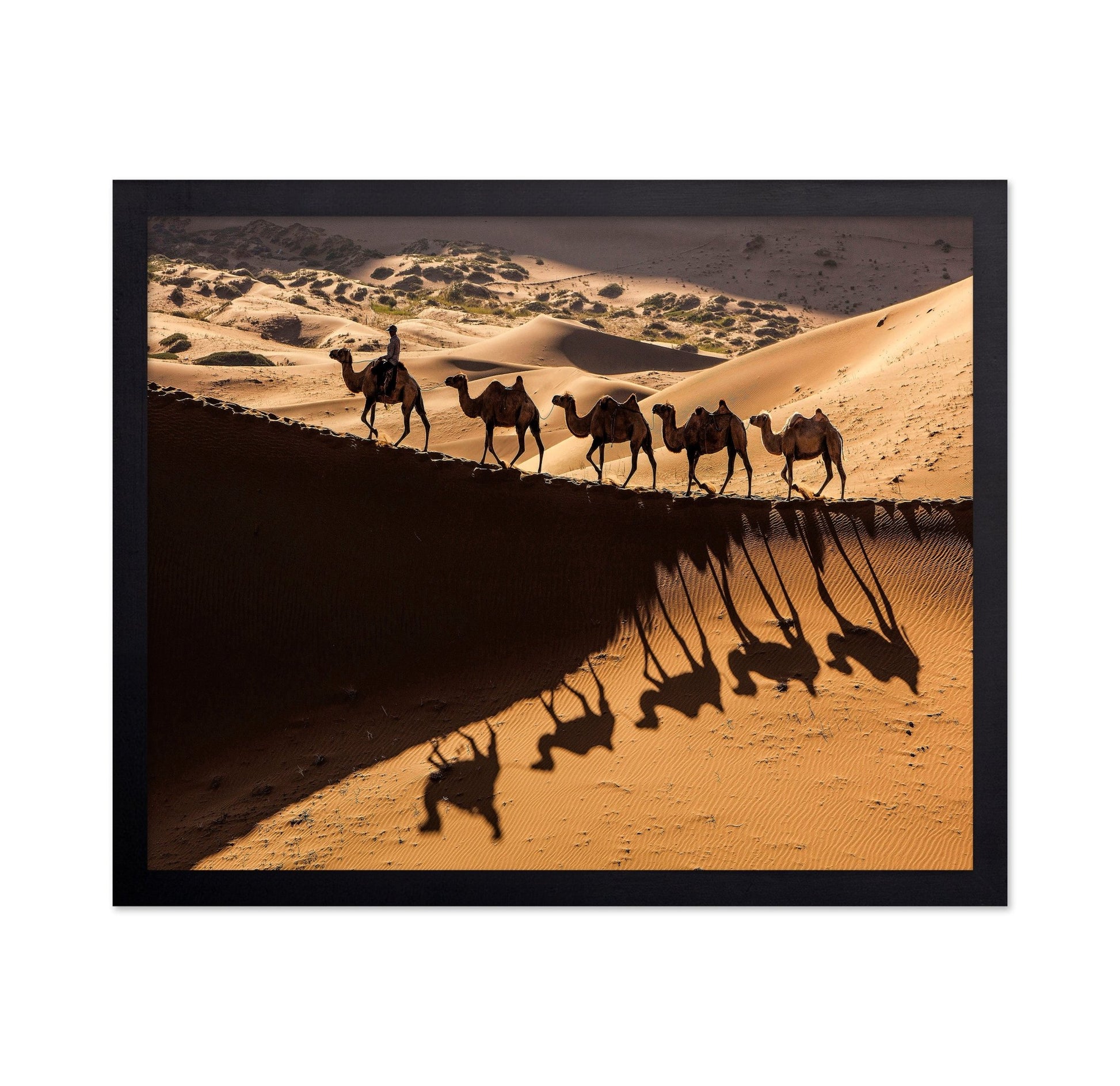 Desert Caravan Shadows