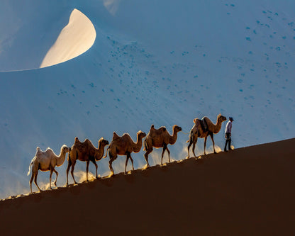 Desert Caravan Journey