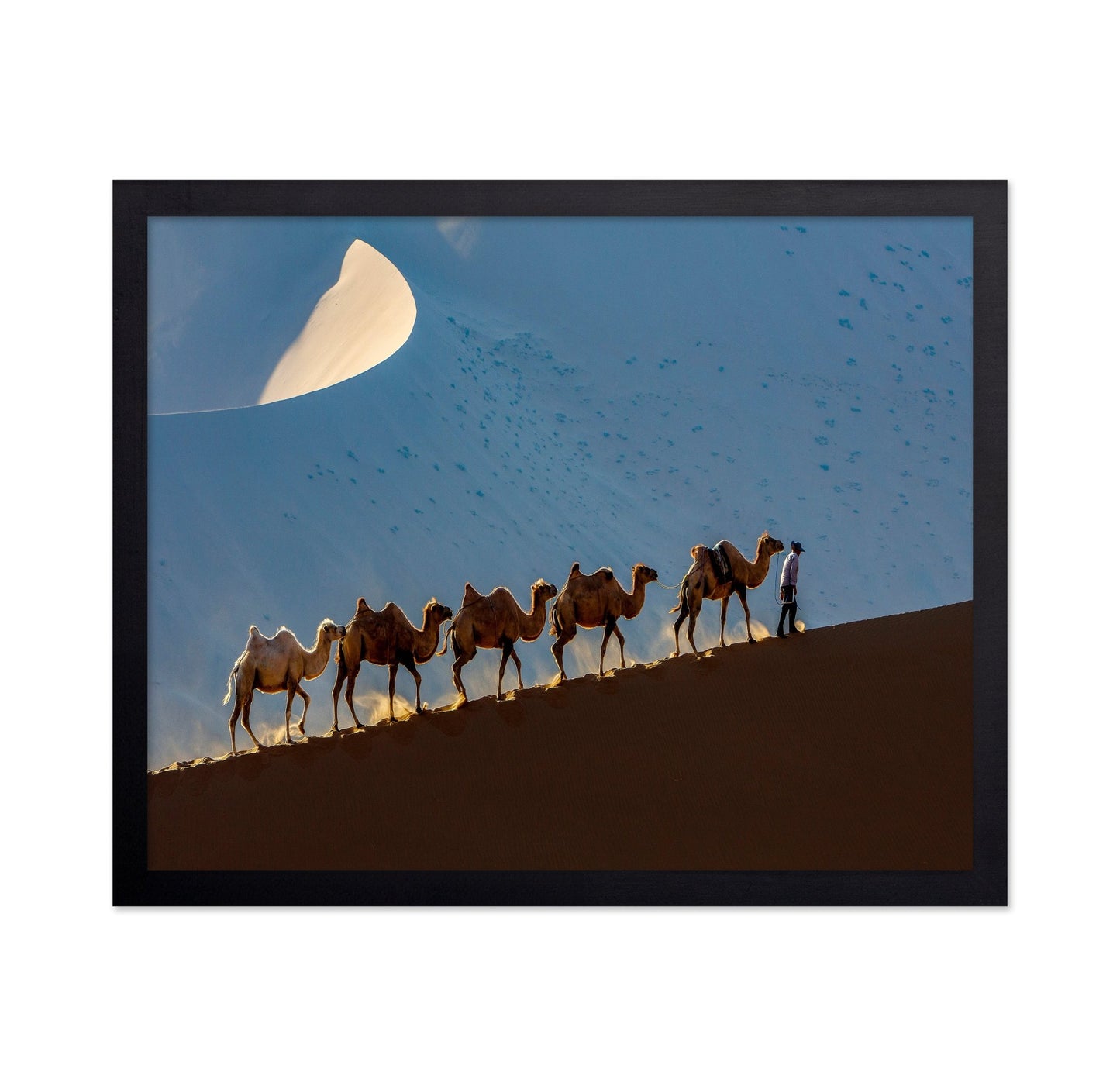 Desert Caravan Journey