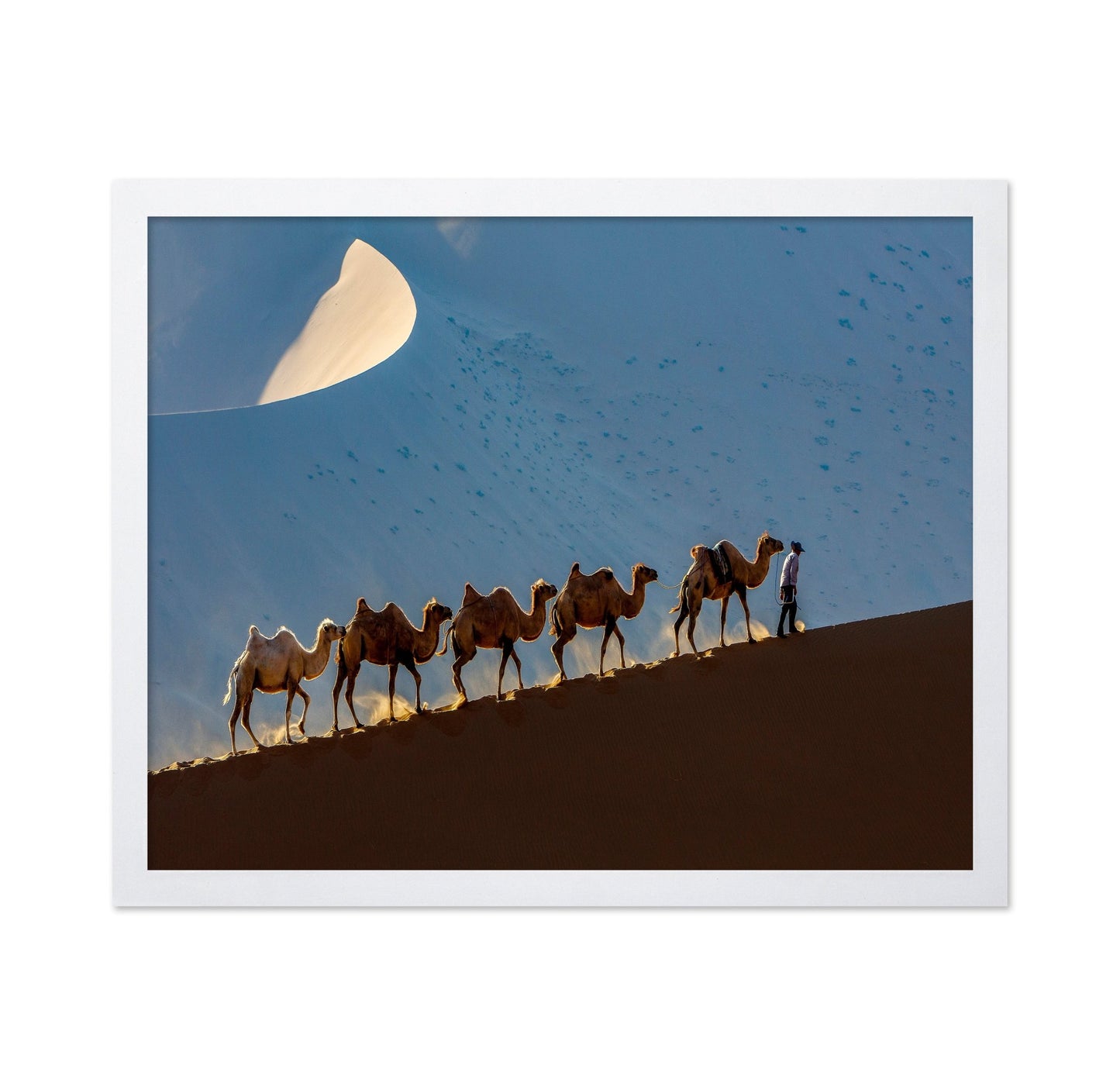 Desert Caravan Journey