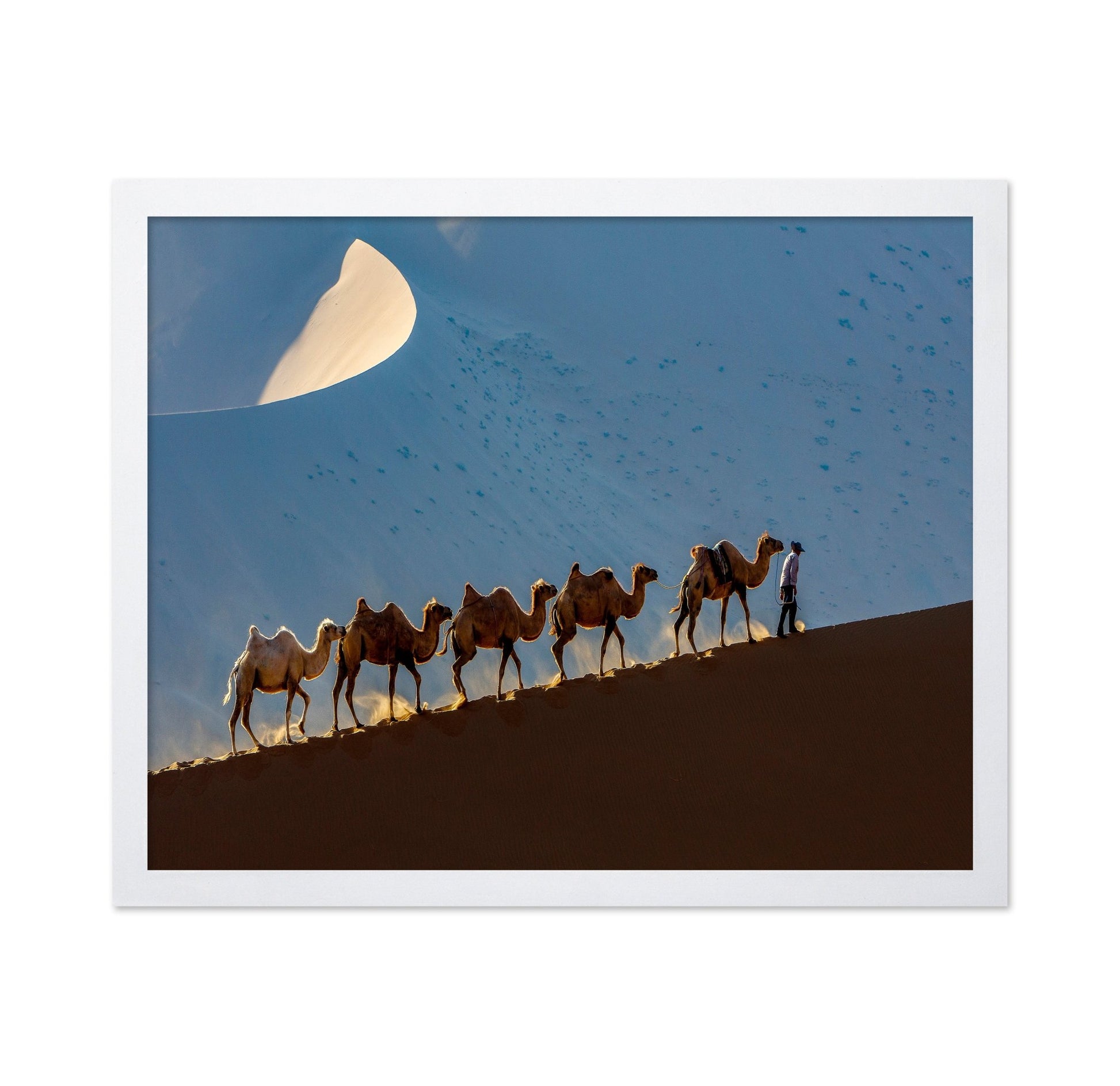 Desert Caravan Journey