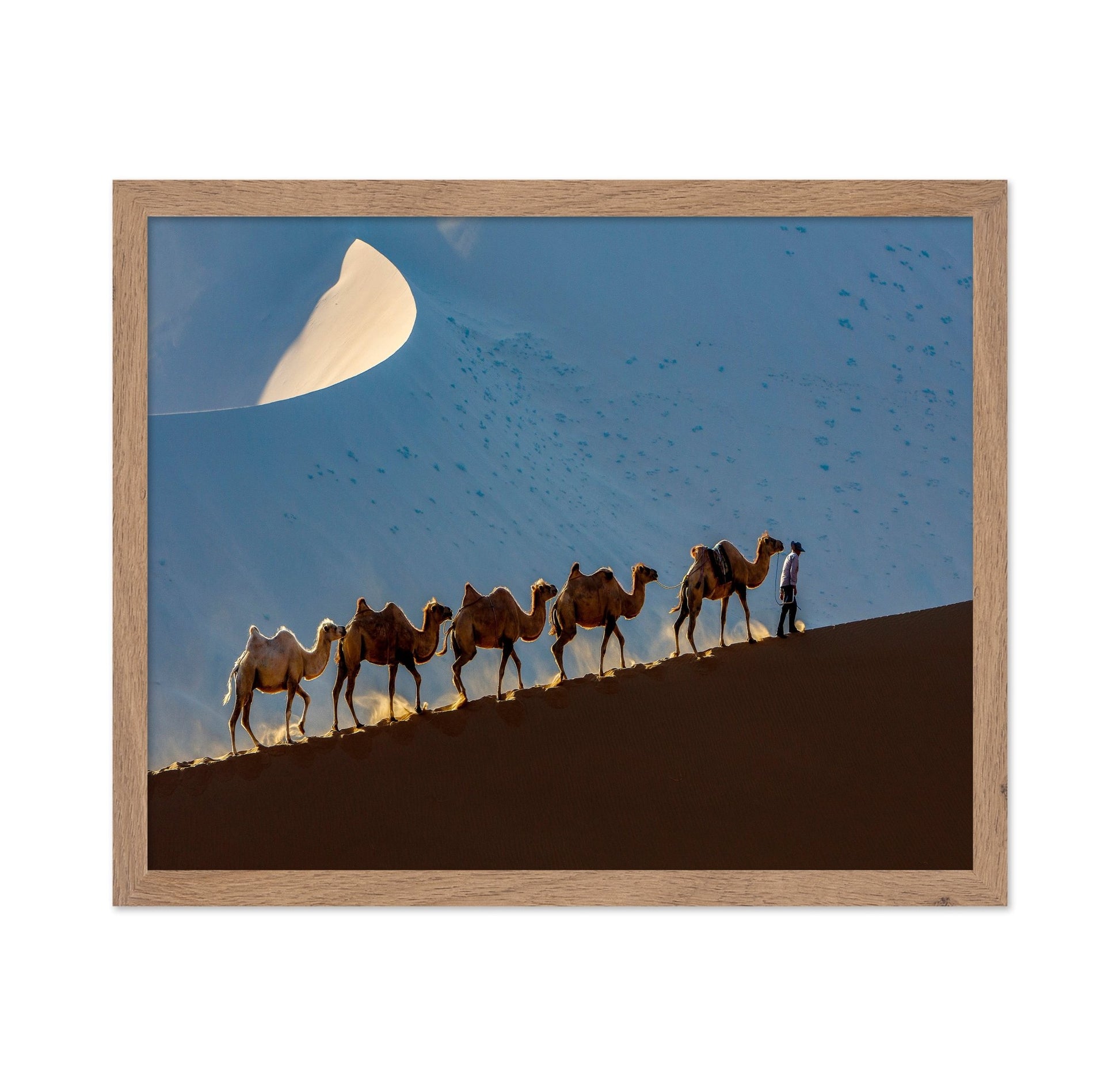 Desert Caravan Journey