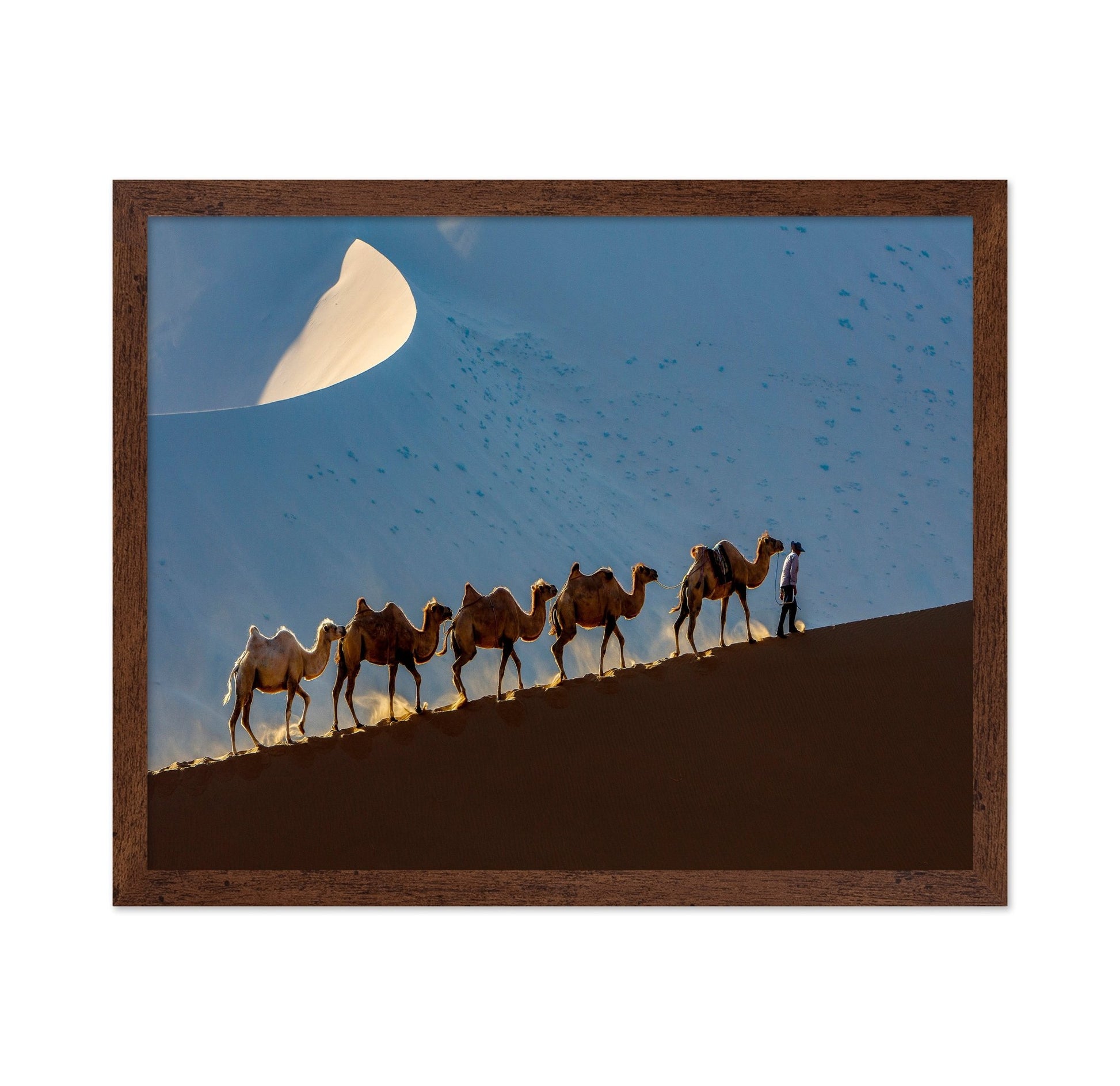 Desert Caravan Journey