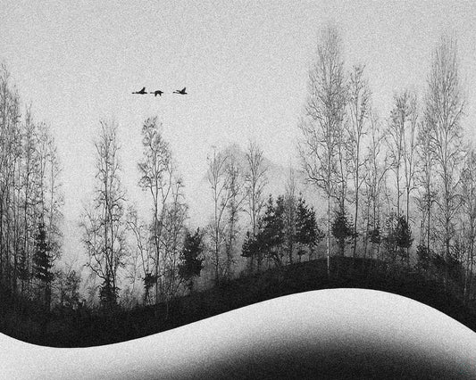 Winter Birds Flight