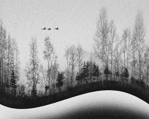 Winter Birds Flight