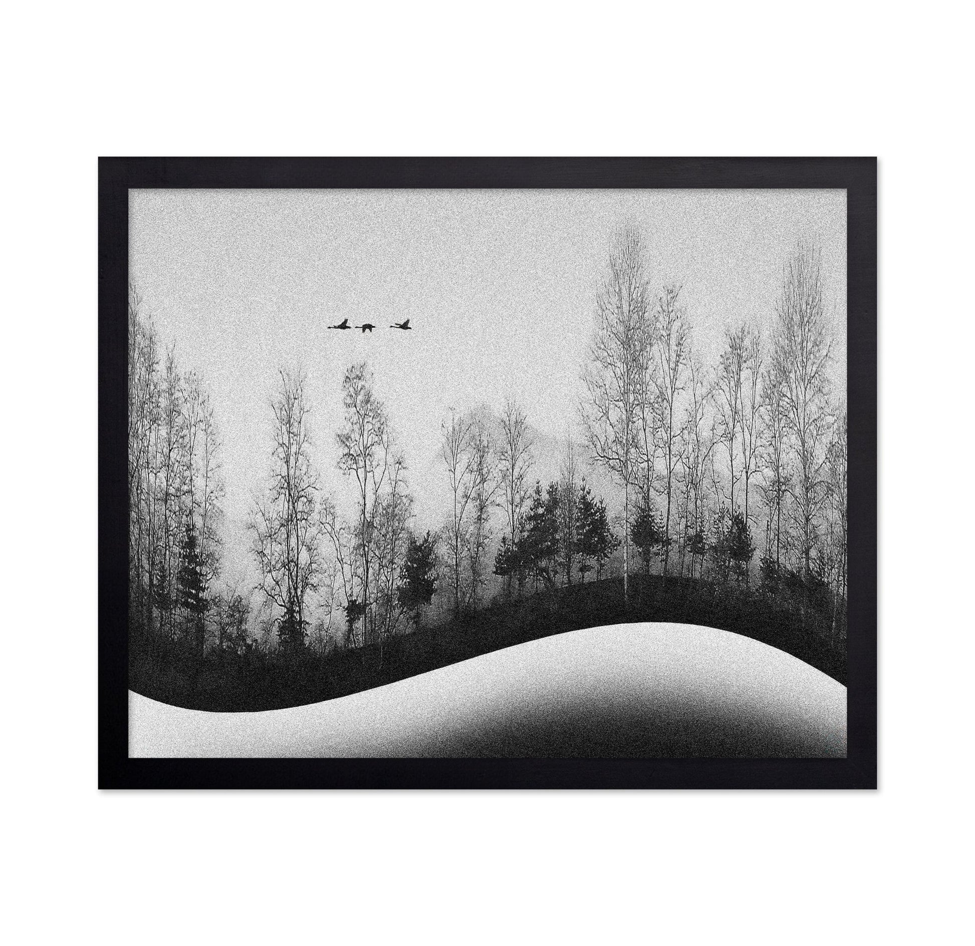 Winter Birds Flight