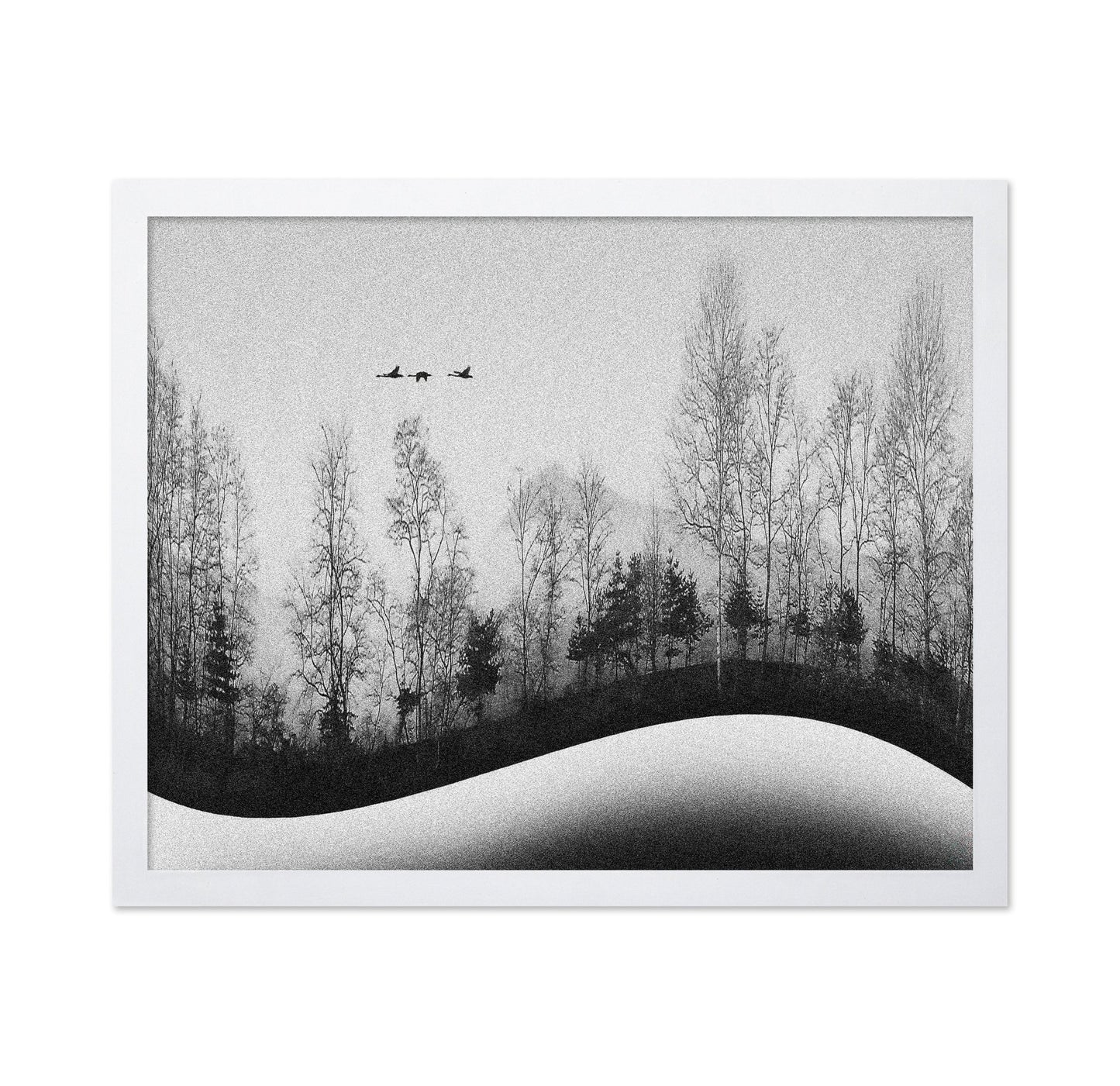 Winter Birds Flight
