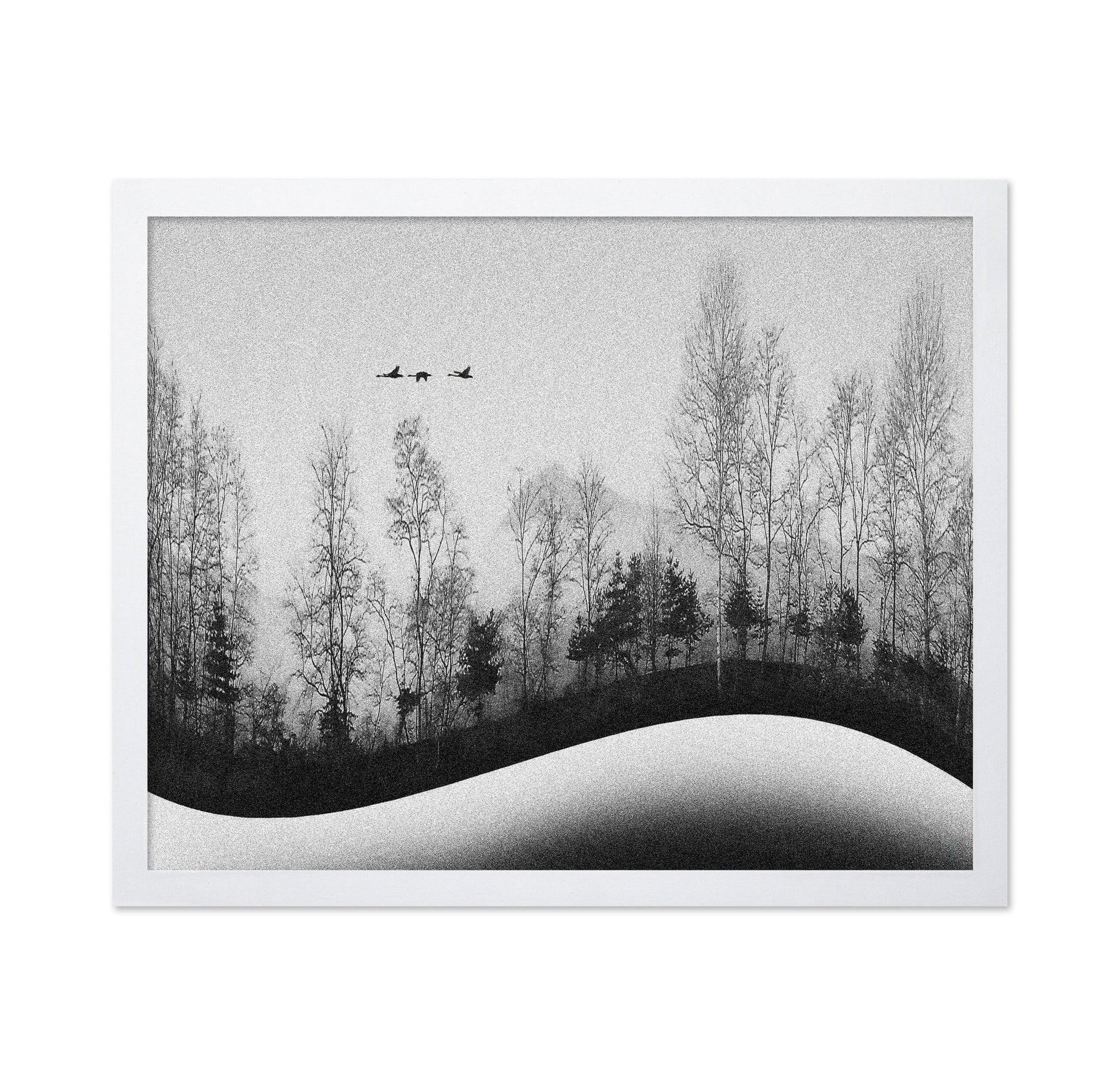 Winter Birds Flight