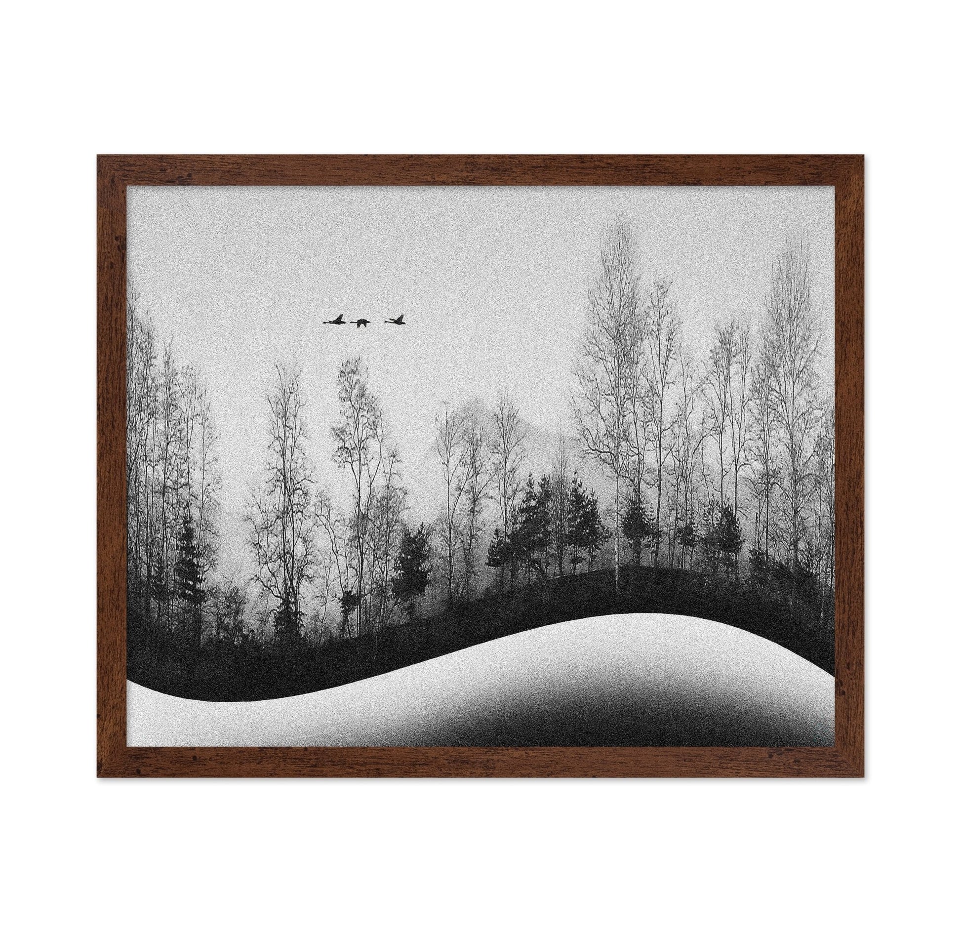 Winter Birds Flight