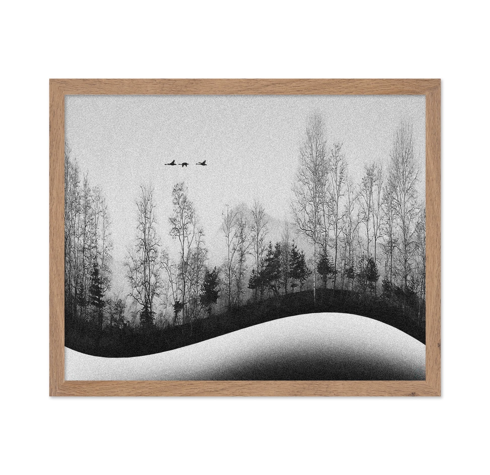 Winter Birds Flight