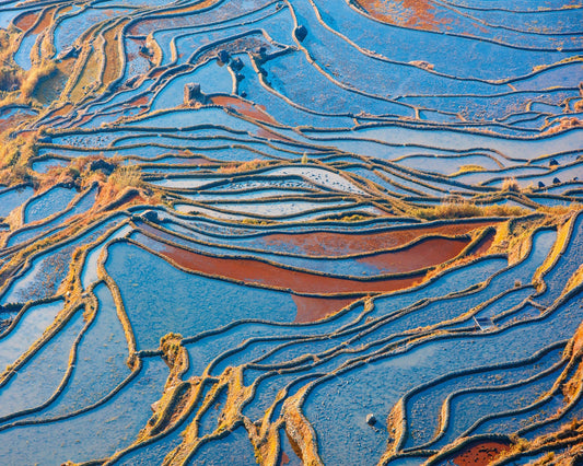 Blue Rice Patterns