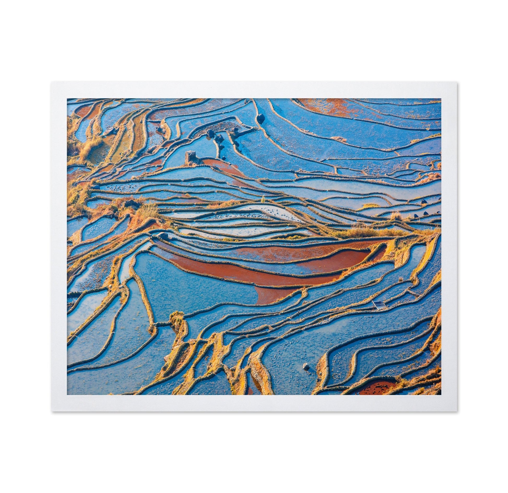Blue Rice Patterns