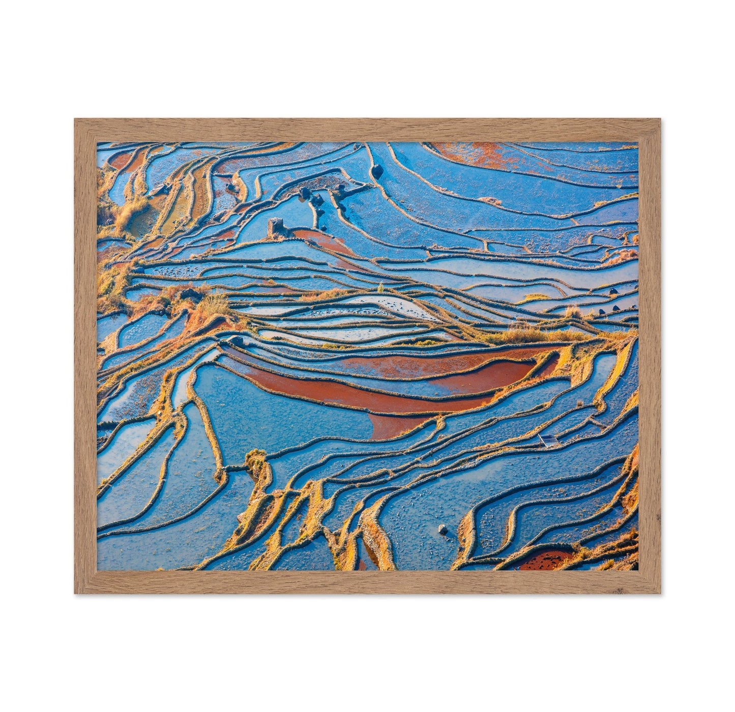 Blue Rice Patterns