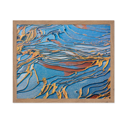Blue Rice Patterns