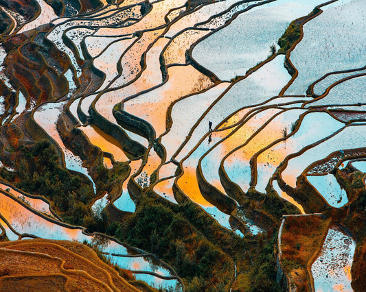 Golden Rice Terraces