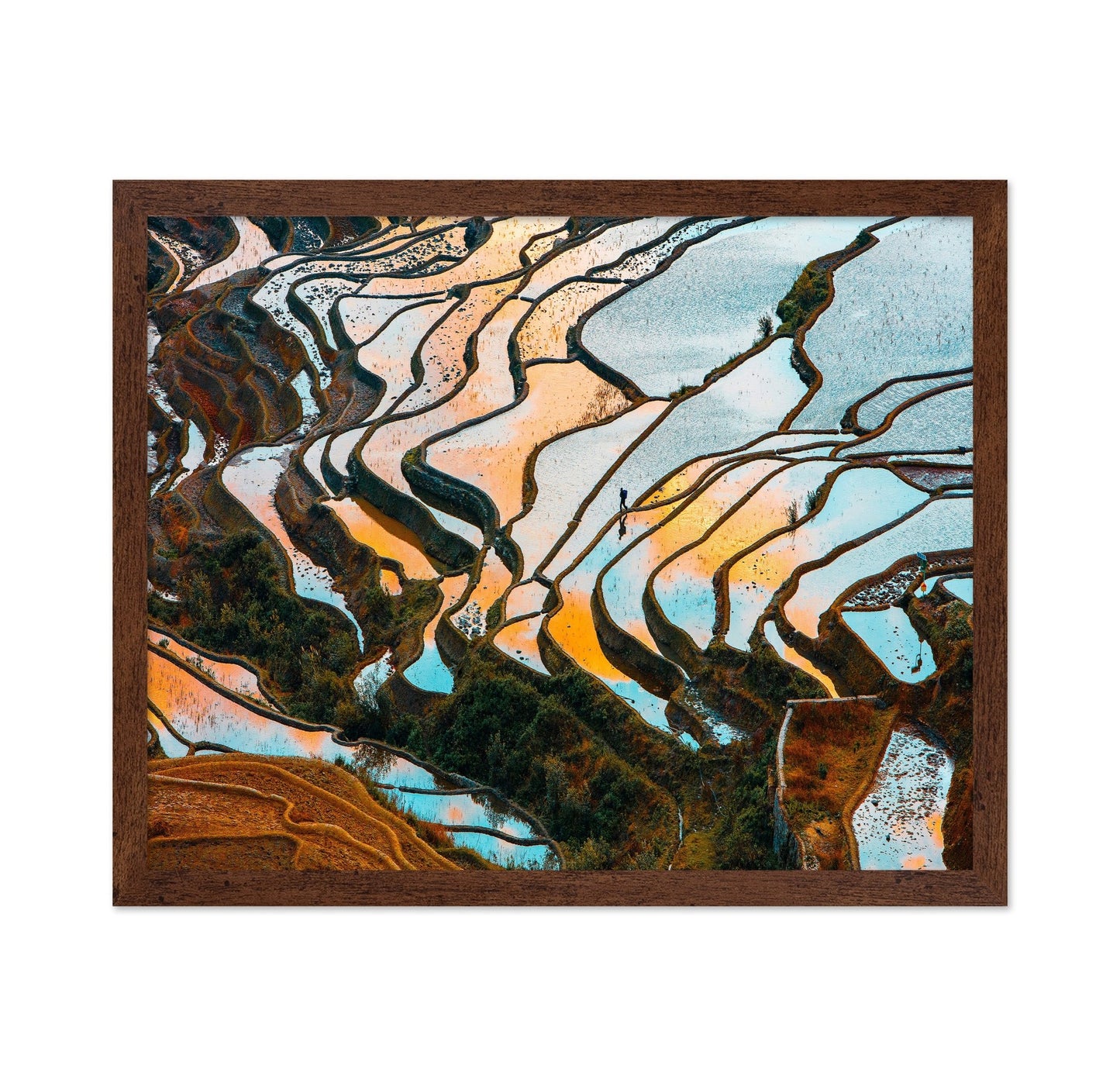 Golden Rice Terraces