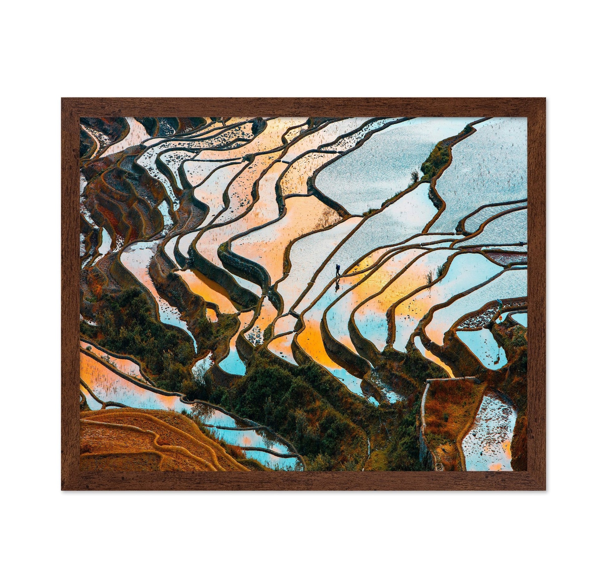 Golden Rice Terraces