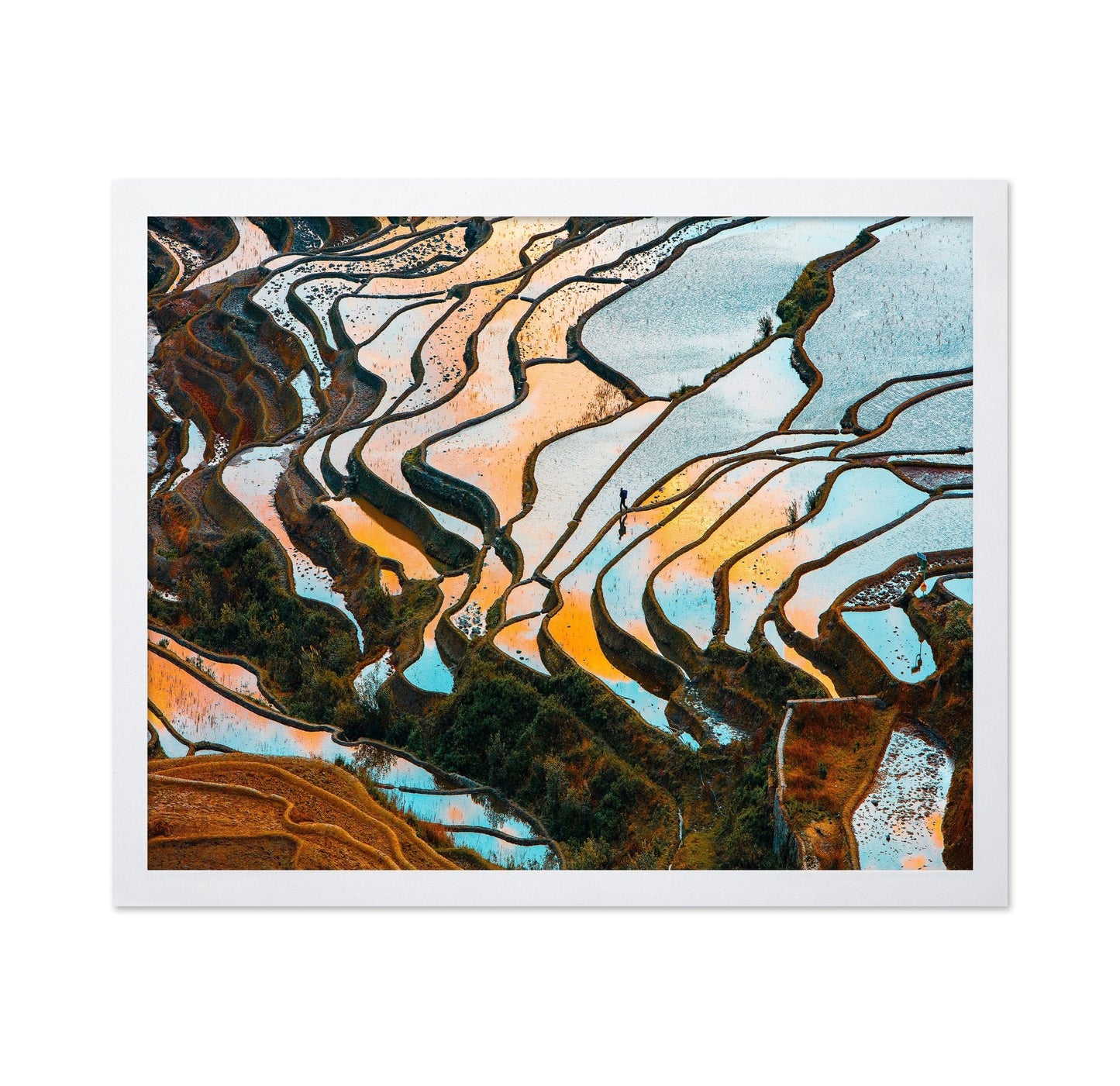 Golden Rice Terraces