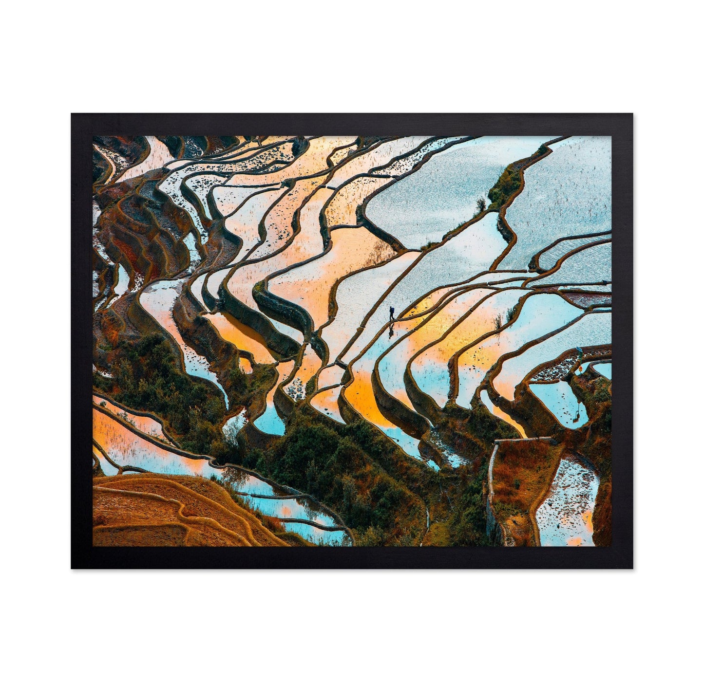 Golden Rice Terraces