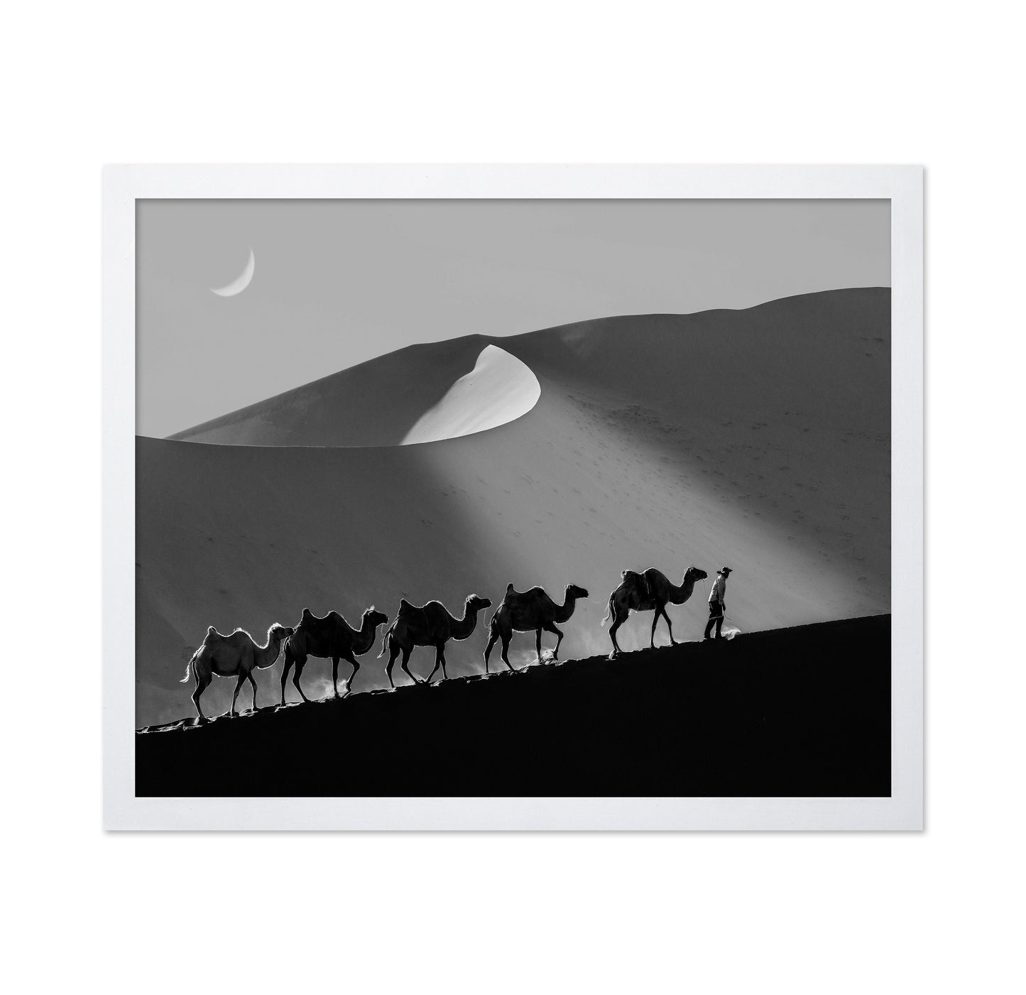 Desert Caravan Line