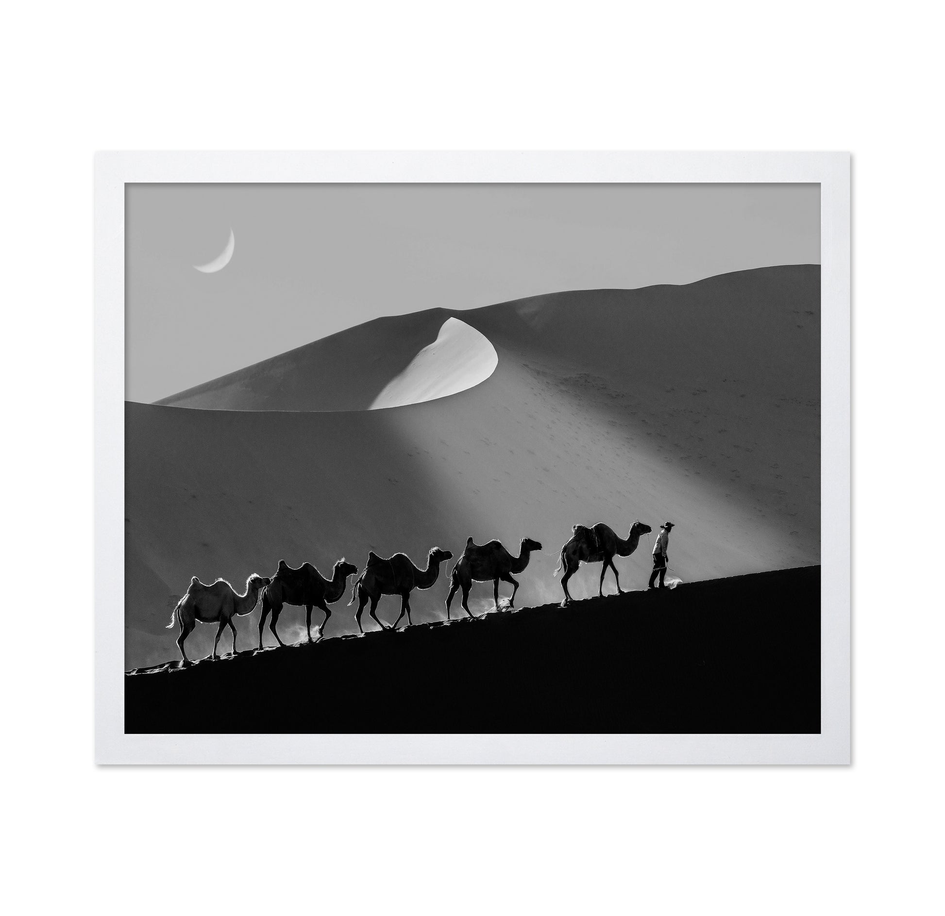 Desert Caravan Line